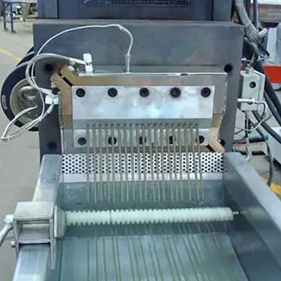 Leading Technology PP PS Hollow Sheet Extrusion Line for Plastic Processed Sheet
